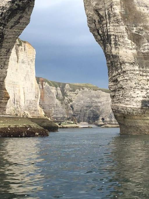 Les Tamaris, Villa Face A La Mer, Emplacement Privilegie Veulettes-sur-Mer Kültér fotó